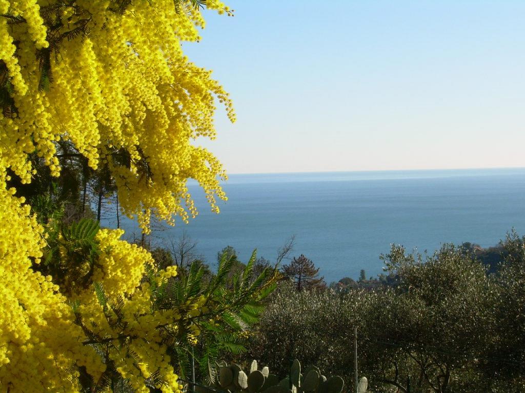 Ariabuona Διαμέρισμα Moneglia Εξωτερικό φωτογραφία