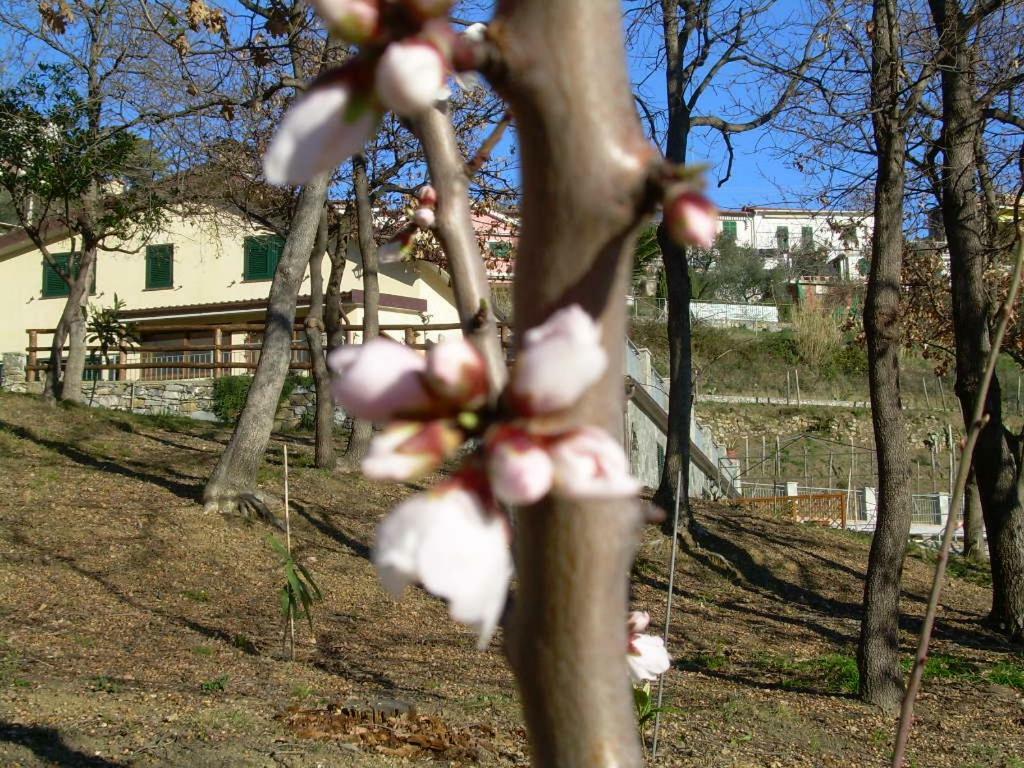 Ariabuona Διαμέρισμα Moneglia Εξωτερικό φωτογραφία