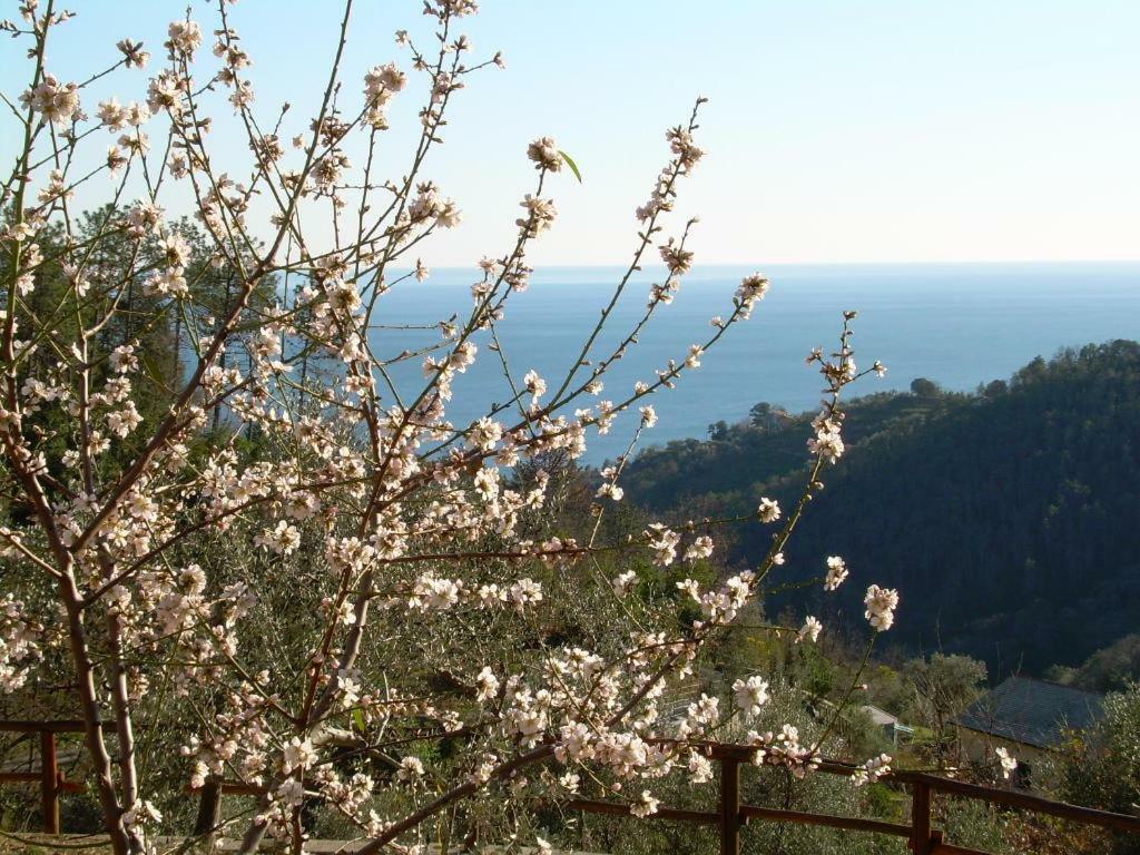 Ariabuona Διαμέρισμα Moneglia Εξωτερικό φωτογραφία