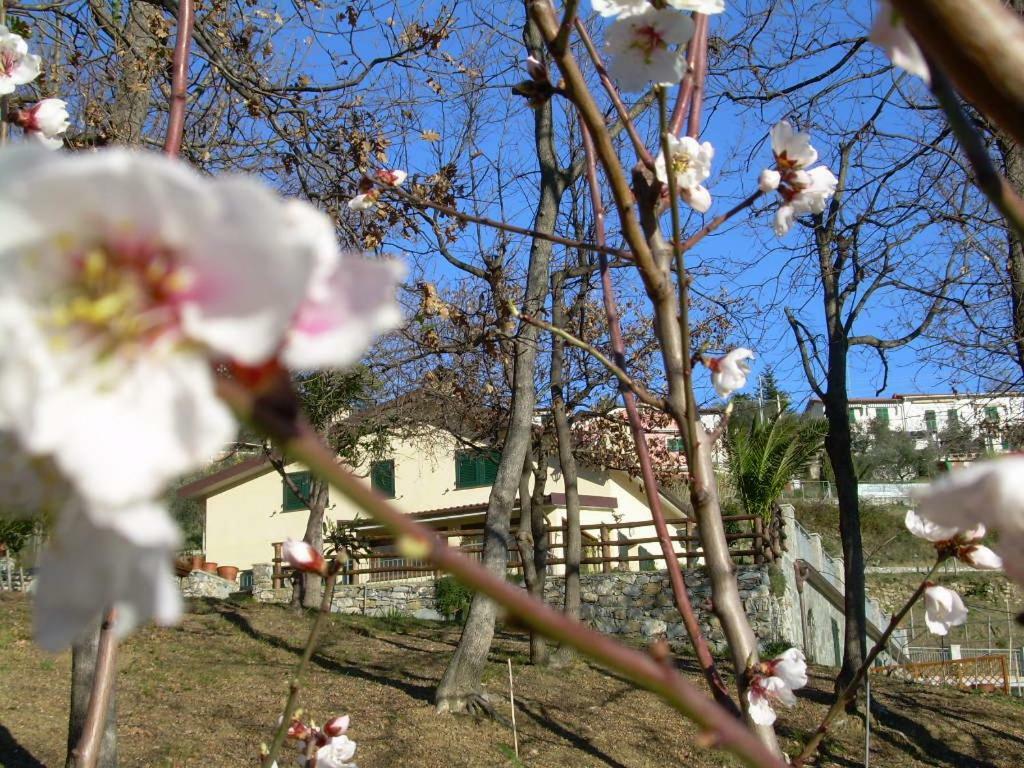 Ariabuona Διαμέρισμα Moneglia Εξωτερικό φωτογραφία