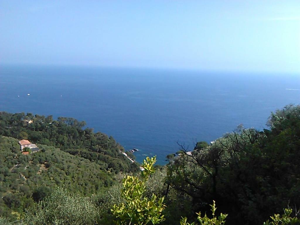 Ariabuona Διαμέρισμα Moneglia Εξωτερικό φωτογραφία