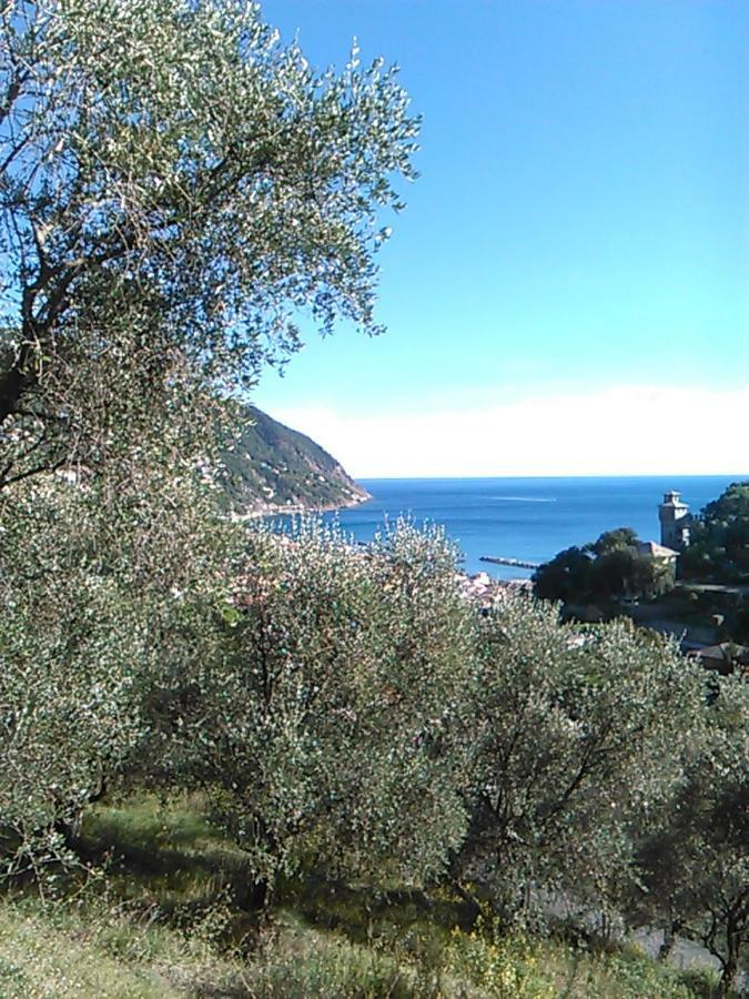 Ariabuona Διαμέρισμα Moneglia Εξωτερικό φωτογραφία